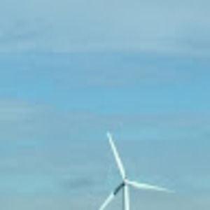 Meet your Posher, Bernadetta